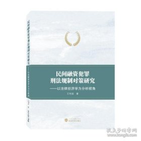 民间融资犯罪刑法规制对策研究——以法律经济学为分析视角