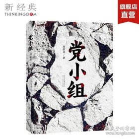 党小组   刘荣书 官方正版 新经典出版