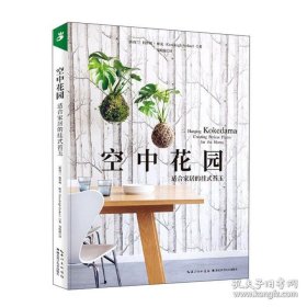 空中花园：适合家居的挂式苔玉