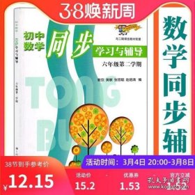 初中数学同步学习与辅导（6年级第2学期）