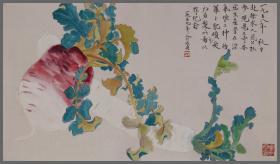 俞致贞   花卉