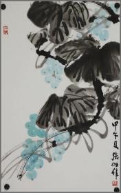 张同霖，花卉