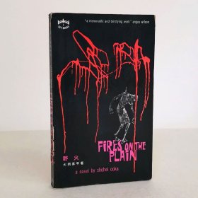 Fires on the Plain 大冈升平《野火》英译本
