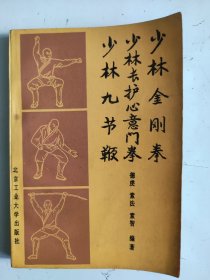 少林金刚拳 少林长护心意门拳 少林九节鞭