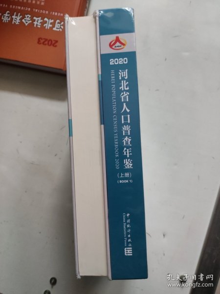 河北省人口普查年鉴2020 上下册 未开封