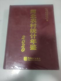 河北农村统计年鉴  2020