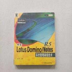 中文Lotus Domino/Notes R5系统