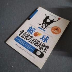 当代运动与艺术潮流. 篮球专业技巧及NBA欣赏