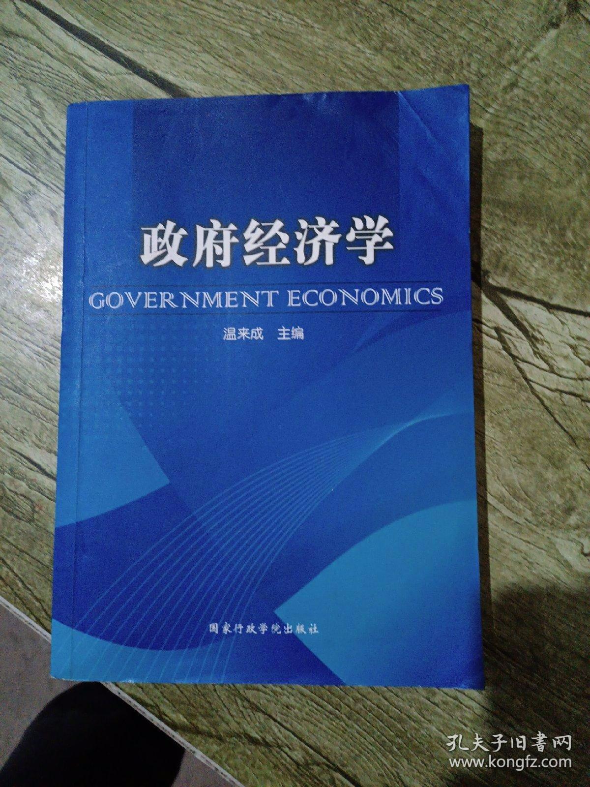 政府经济学