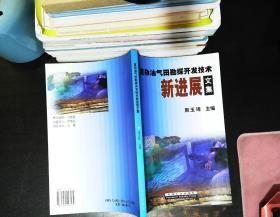 复杂油气田勘探开发技术新进展文集