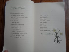 一生一世的朋友=FRIENDS FOR LIFE