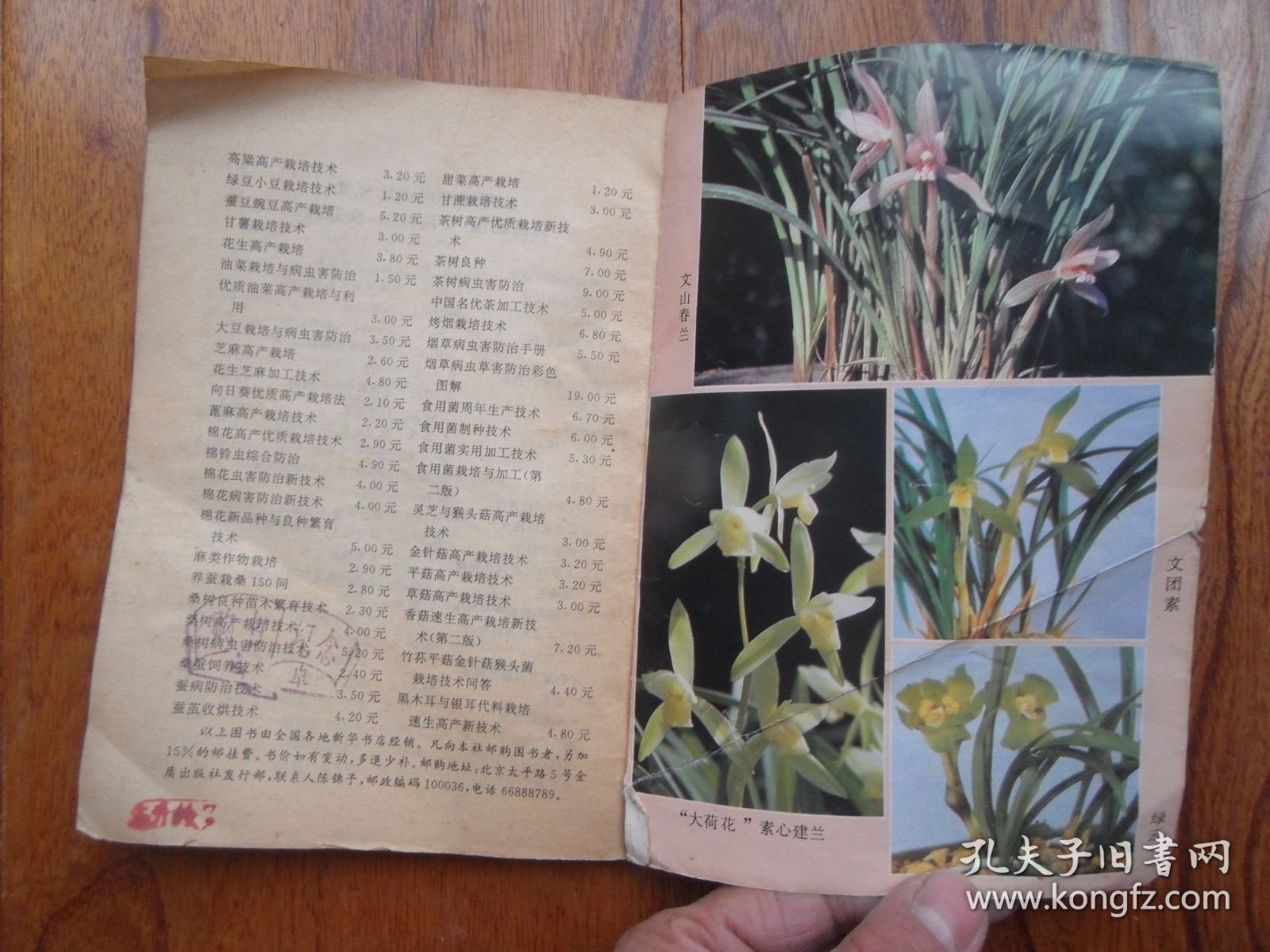 兰花栽培入门【一版11印】