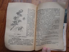 兰花栽培入门【一版11印】