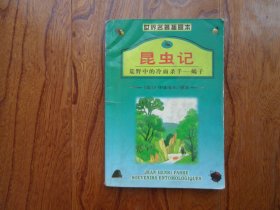 昆虫记（4）荒野中的冷面杀手—蝎子