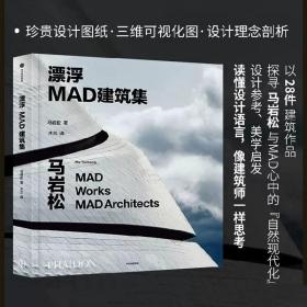 漂浮 MAD建筑集 马岩松 建筑作品设计细节 设计策展 建筑设计书籍