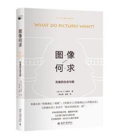 图像何求：形象的生命与爱