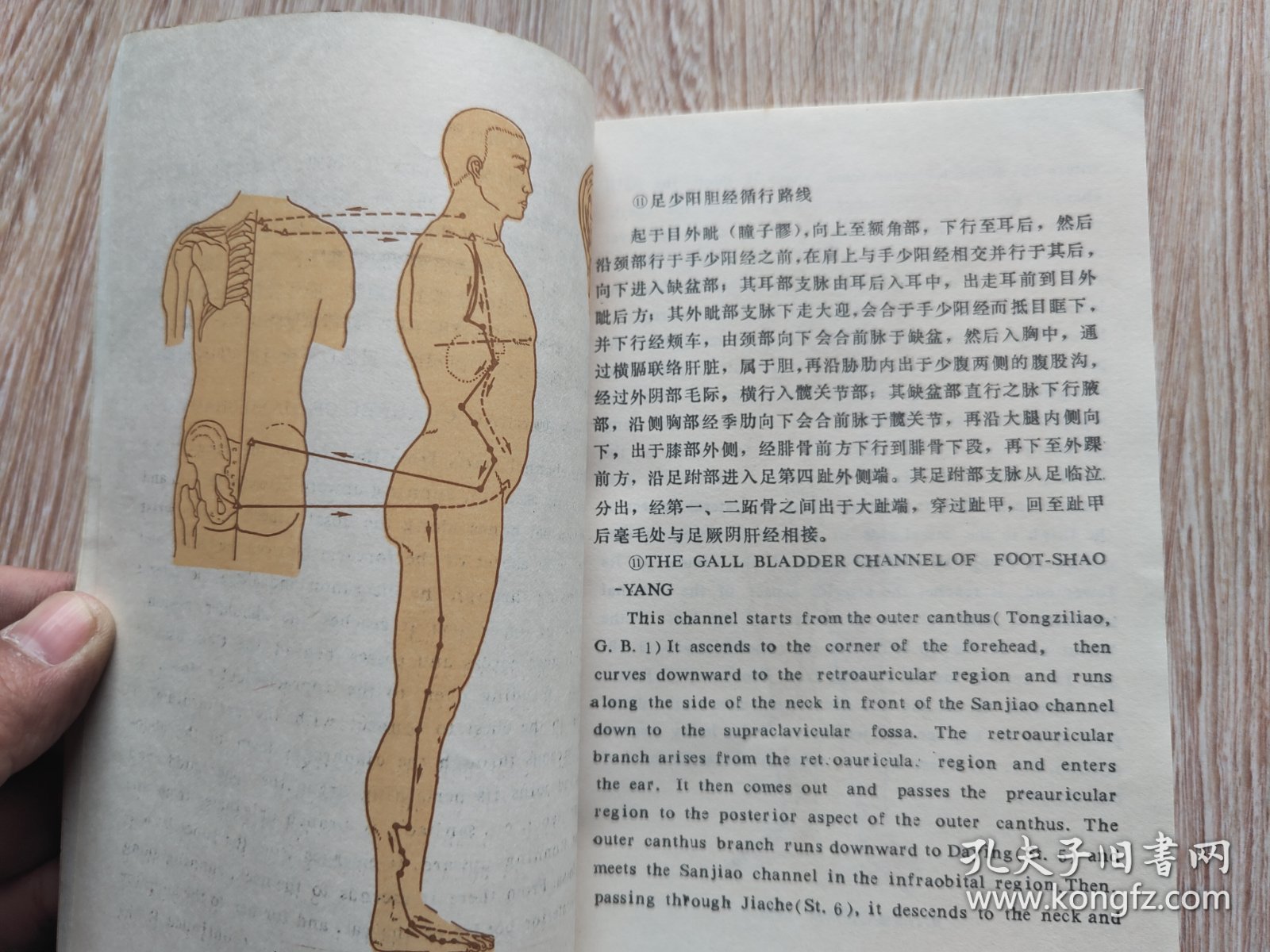 针灸气功经穴图谱