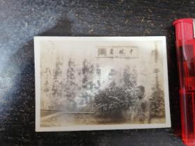 民国“惠园林中”字样风光照一张（8.5X5.9CM）