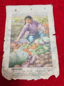 【五十年代上海画片出版社】菜绿瓜肥产量多（19.3X13.1CM）