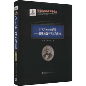 广义Gamma函数——特殊函数不等式与积分 尹枥,黄利国 著 新华文轩网络书店 正版图书