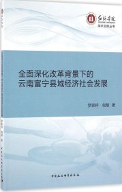 全面深化改革背景下的云南富宁县域经济社会发展