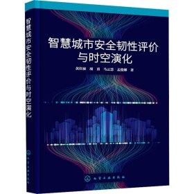 智慧城市安全韧性评价与时空演化 黄佳祯 等 著 新华文轩网络书店 正版图书