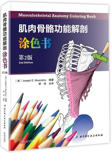 肌肉骨骼功能解剖涂色书（第2版）
