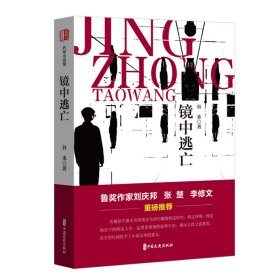 镜中逃亡（锐势力·名家小说集） 谷禾著 著 新华文轩网络书店 正版图书