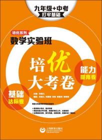 数学实验班培优大考卷：基础达标卷+能力提高卷（九年级+中考）（打牢基础）