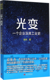 光变：一个企业及其工业史