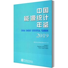 中国能源统计年鉴2019