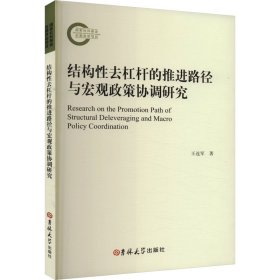 结构性去杠杆的推进路径与宏观政策协调研究 王连军 著 新华文轩网络书店 正版图书