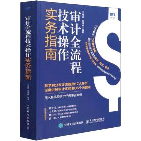 审计全流程技术操作实务指南