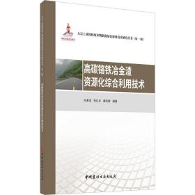 高碳铬铁冶金渣资源化综合利用技术·大宗工业固体废弃物制备绿色建材技术研究丛书第一辑