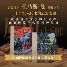 魔山 (德)托馬斯·曼(Thomas Mann) 著 著 錢鴻嘉 新華文軒網(wǎng)絡(luò)書店 正版圖書