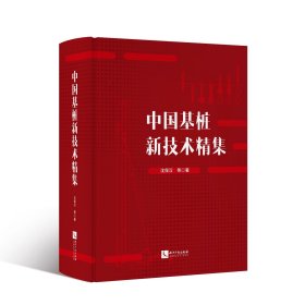 中国基桩新技术精集 沈保汉 等 著 新华文轩网络书店 正版图书