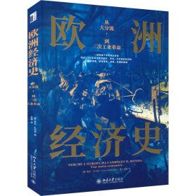 欧洲经济史：从大分流到三次工业革命 以全球视野，讲述1700年至今欧洲经济的故事