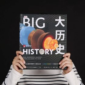 DK大历史：从宇宙大爆炸到我们人类的未来，138亿年的非凡旅程