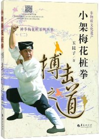 小架梅花桩拳 搏击之道之道 