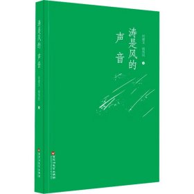 涛是风的声音 何建文,胡伟民 著 新华文轩网络书店 正版图书