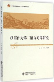 汉语国际传播基础理论与实践研究丛书：汉语作为第二语言习得研究