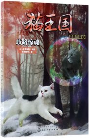 猫王国·暗黑王国.2，歧路惊魂