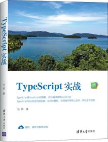 TypeScript实战/Web前端技术丛书