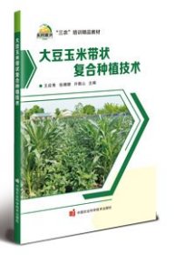 大豆玉米带状复合种植技术 王应秀，张珊珊，许敬山 著 新华文轩网络书店 正版图书