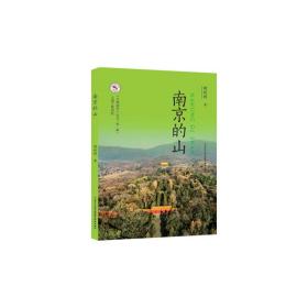 南京的山