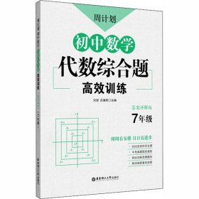 周计划：初中数学代数综合题高效训练（7年级）