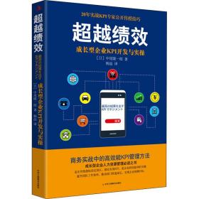 超越绩效——成长型企业KPI开发与实操