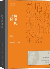 茅盾文学奖获奖作品全集：沉重的翅膀