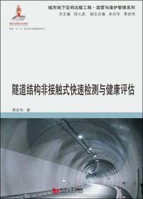 隧道结构非接触式快速检测与健康评估 