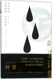 雨水直接打进眼睛：叶青诗集